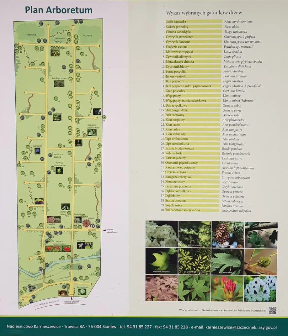 Arboretum Karnieszewice