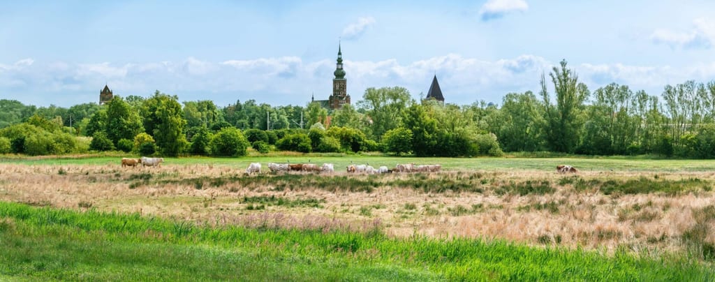 Szlak Caspara Davida Friedricha