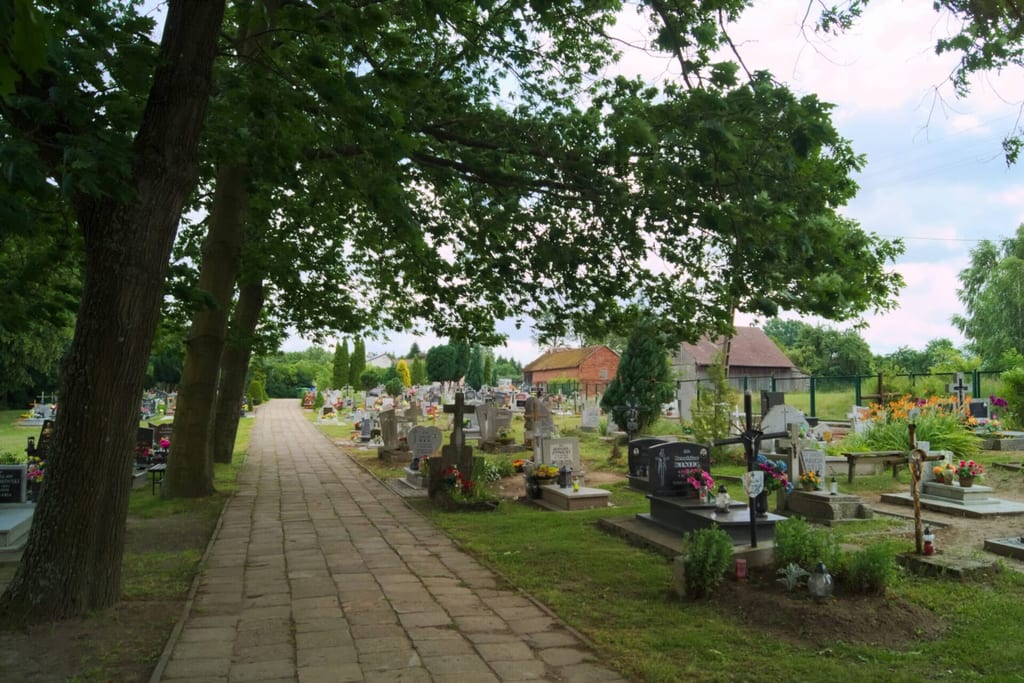 Cmentarz
