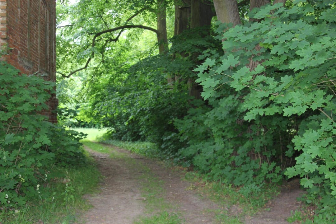 Park dworski w Dobropolu