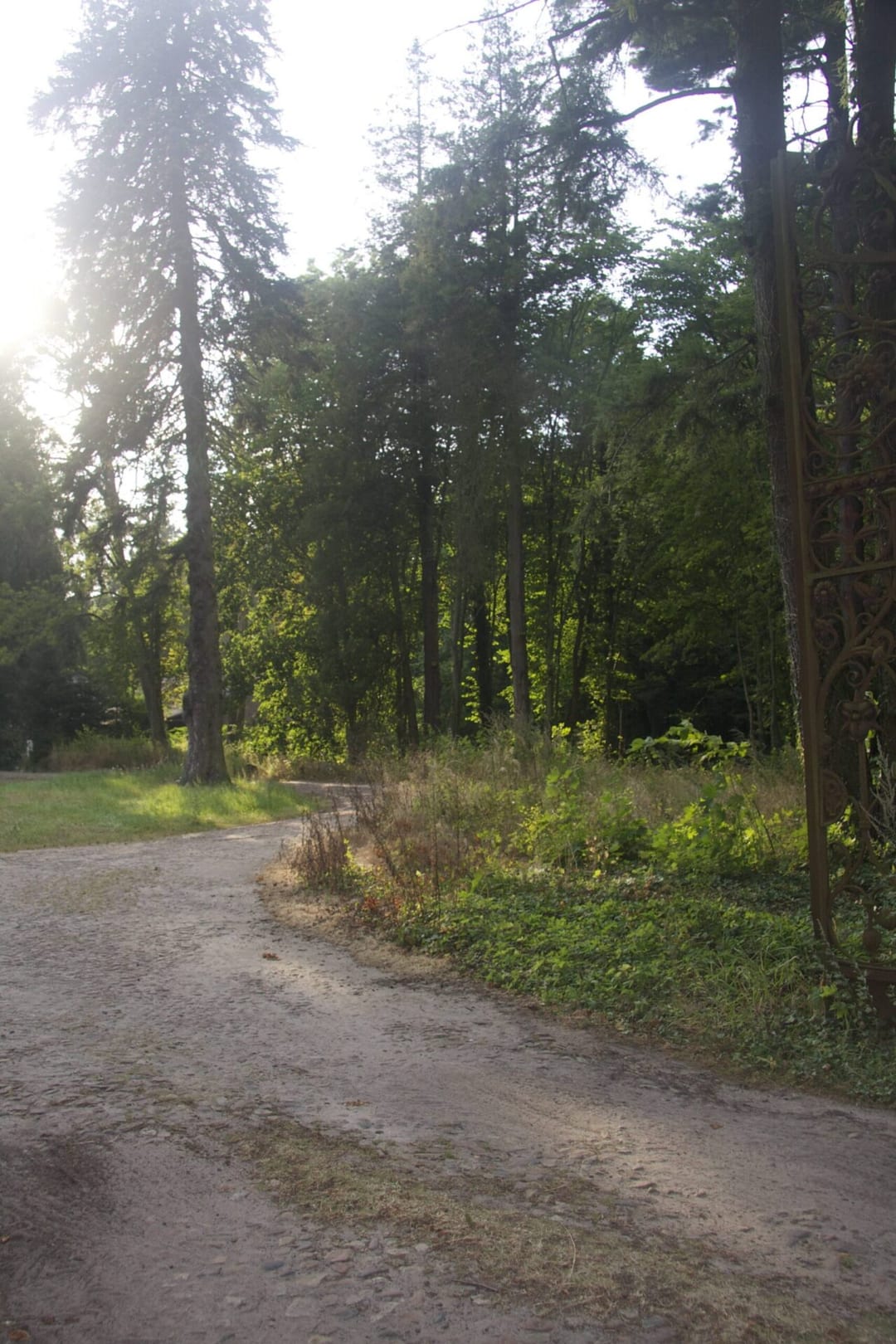 Park dworski w Podwilczu