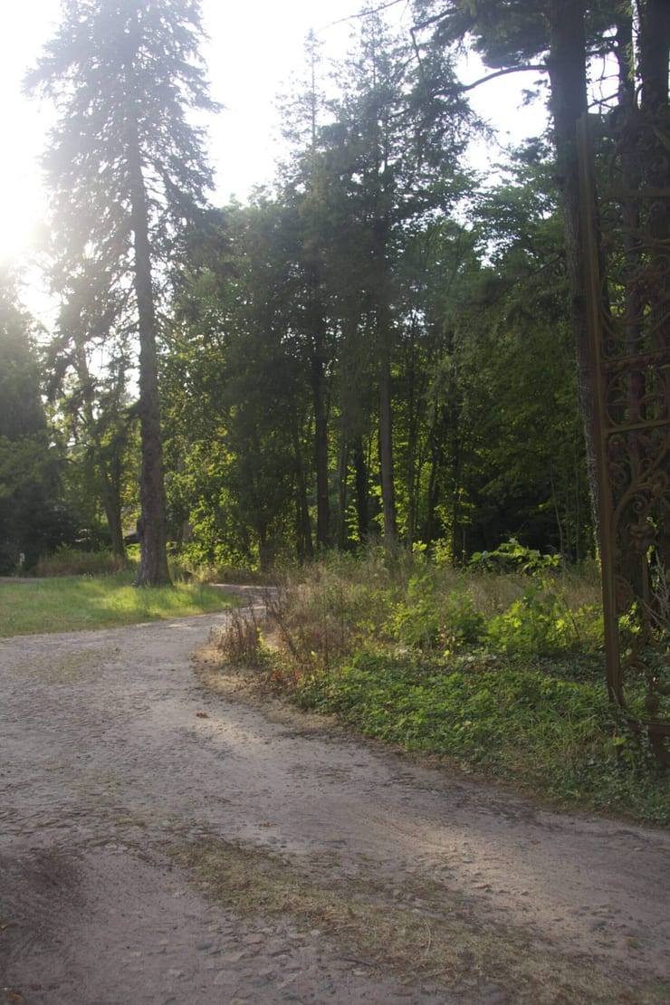 Park dworski w Podwilczu