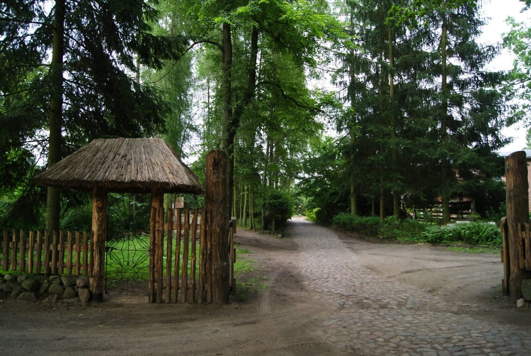 Park dworski w Boninie