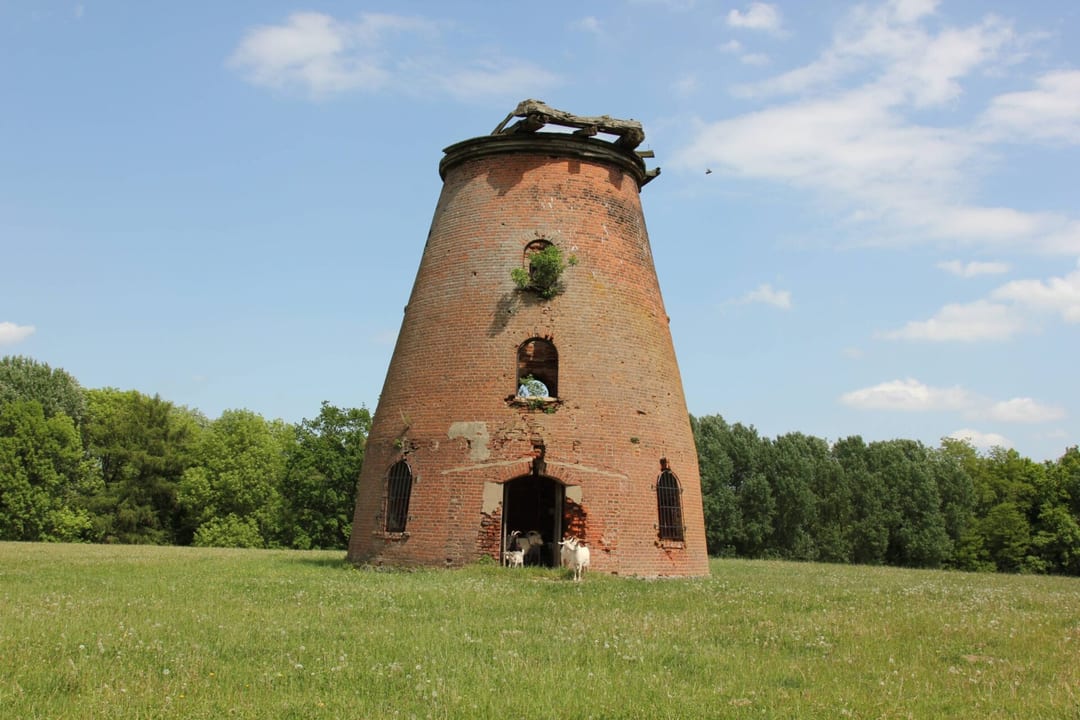 Wiatrak holenderski koło Lubanowa