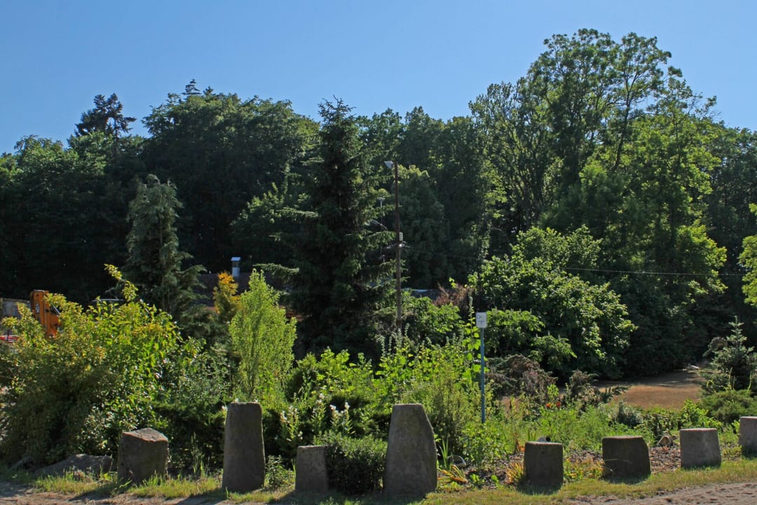 Park dworski w Białej Górze