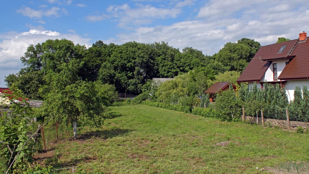 Park dworski w Kołaczu