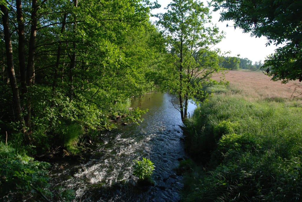 Stepnica