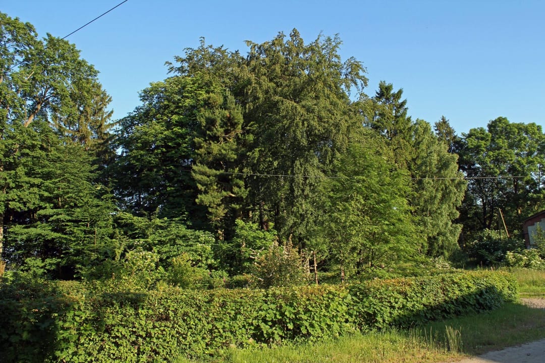 Park dworski w Kłodzinie