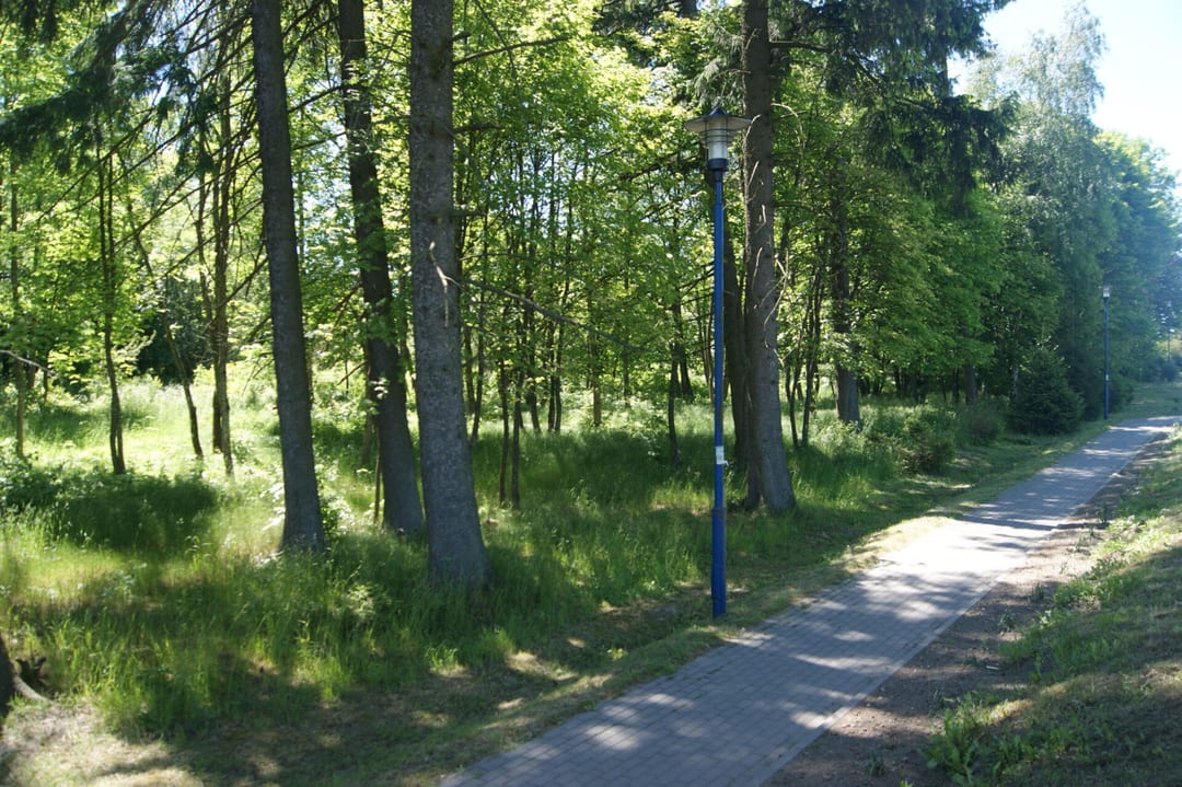 Park dworski w Świerszczewie