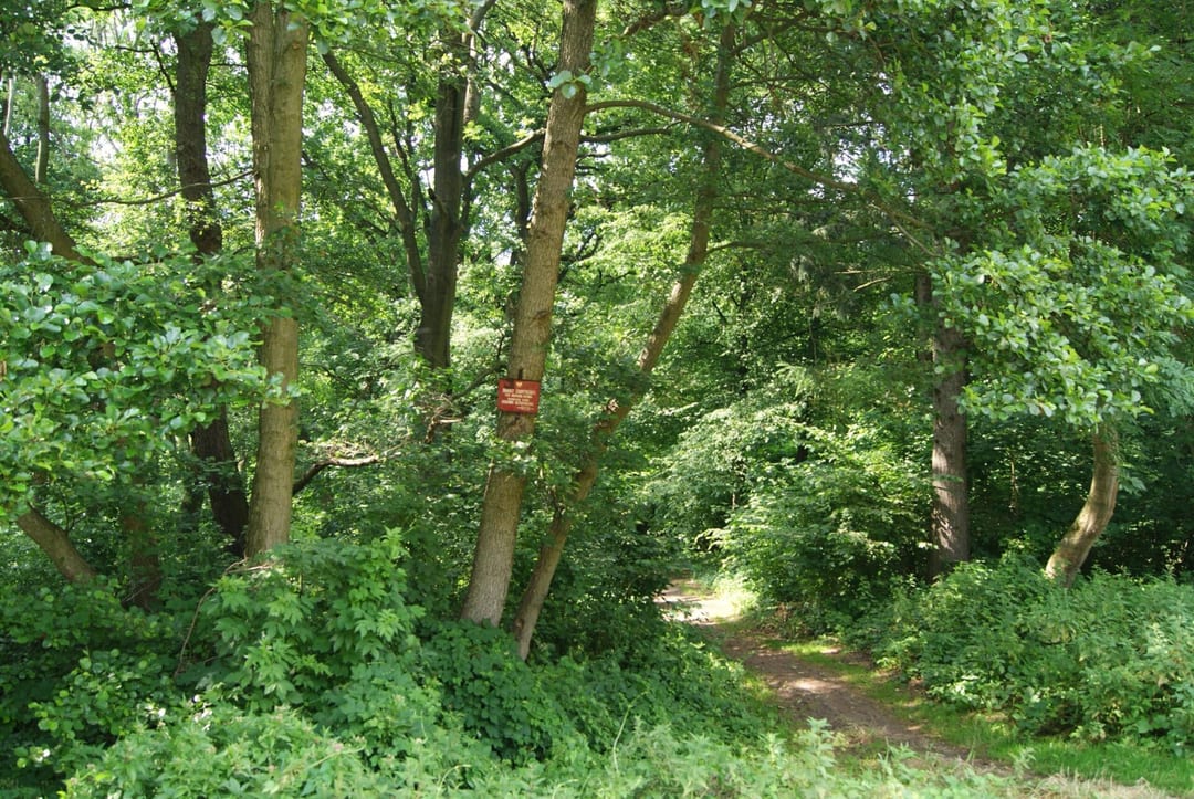 Park dworski w Cieszynie