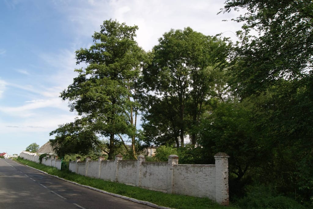 Park dworski w Mieszewie
