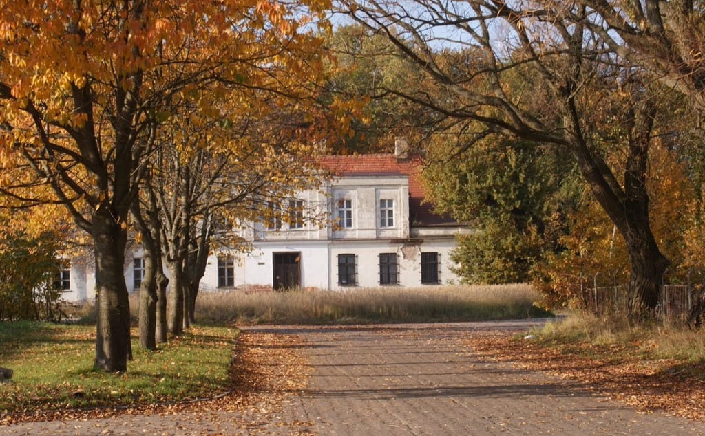Park dworski w Szczecinie