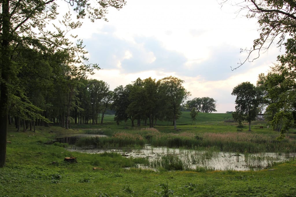 Park dworski w Gogolicach