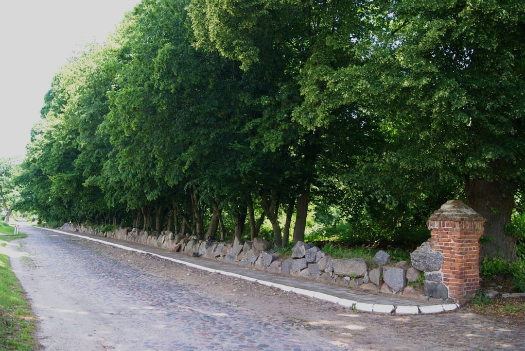 Park dworski w Dobieszewie