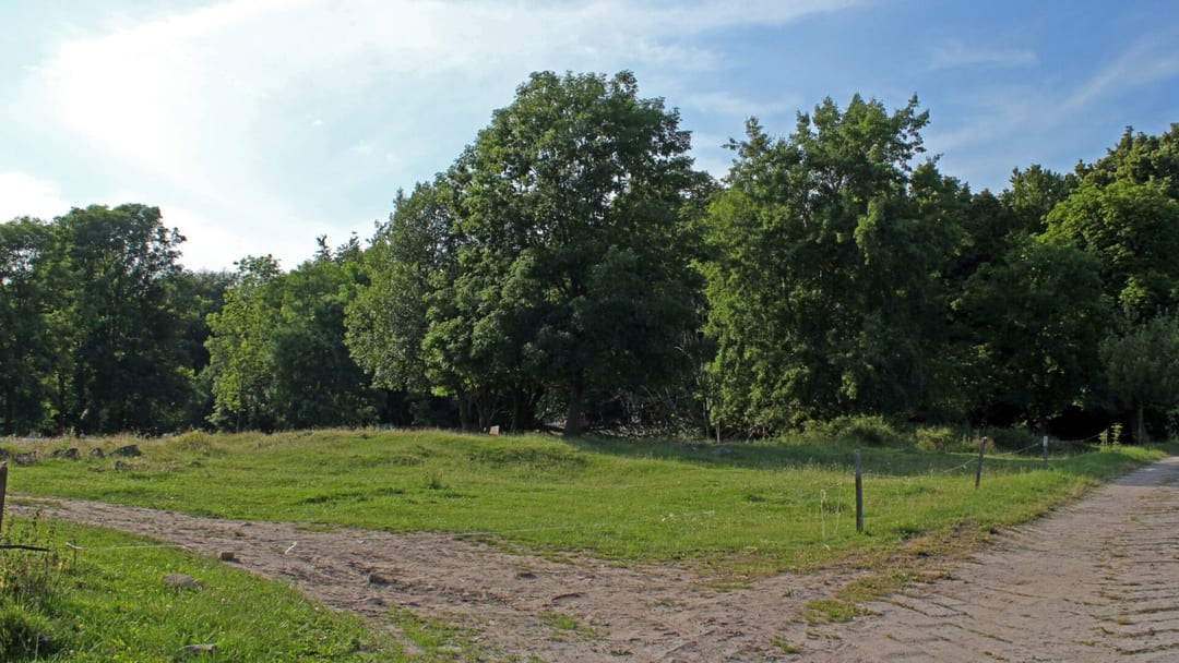 Park dworski w Borucinie