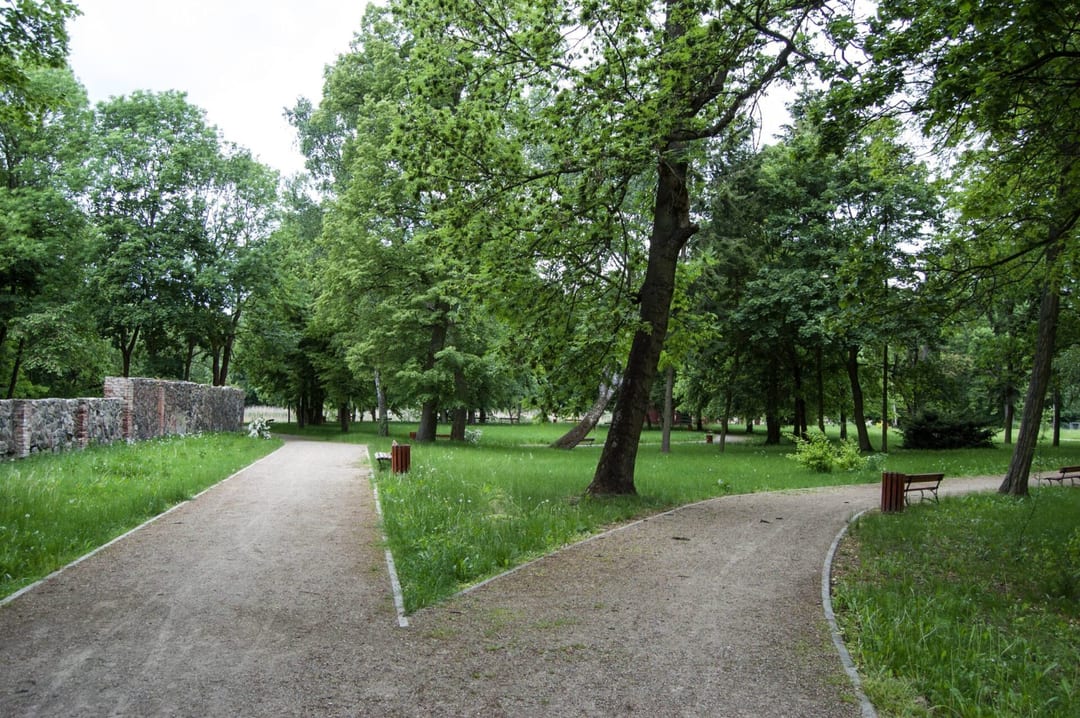 Park dworski w Troszynie