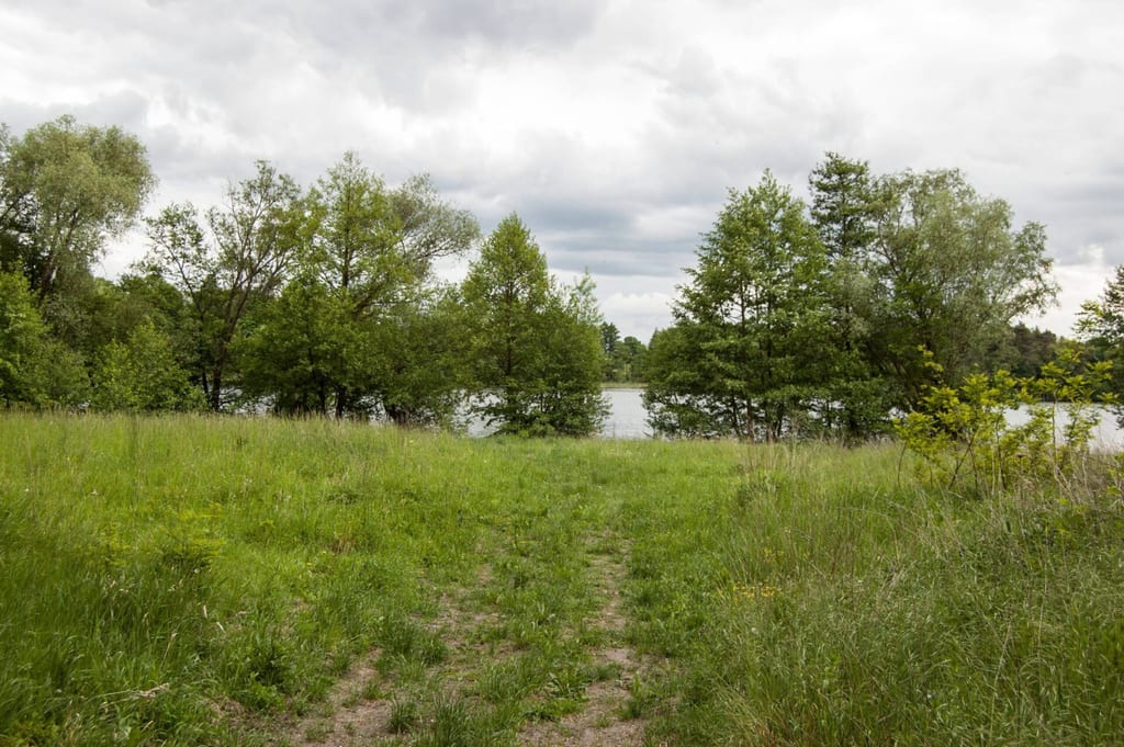 Park dworski w Przyjezierzu