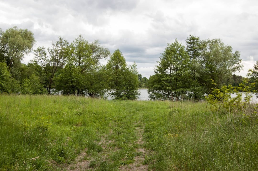 Park dworski w Przyjezierzu