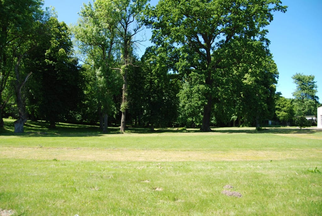 Park dworski w Kulicach