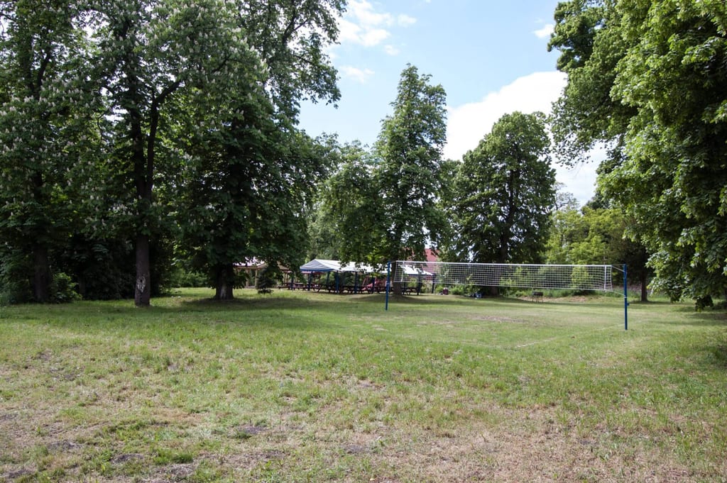 Park dworski w Goszkowie