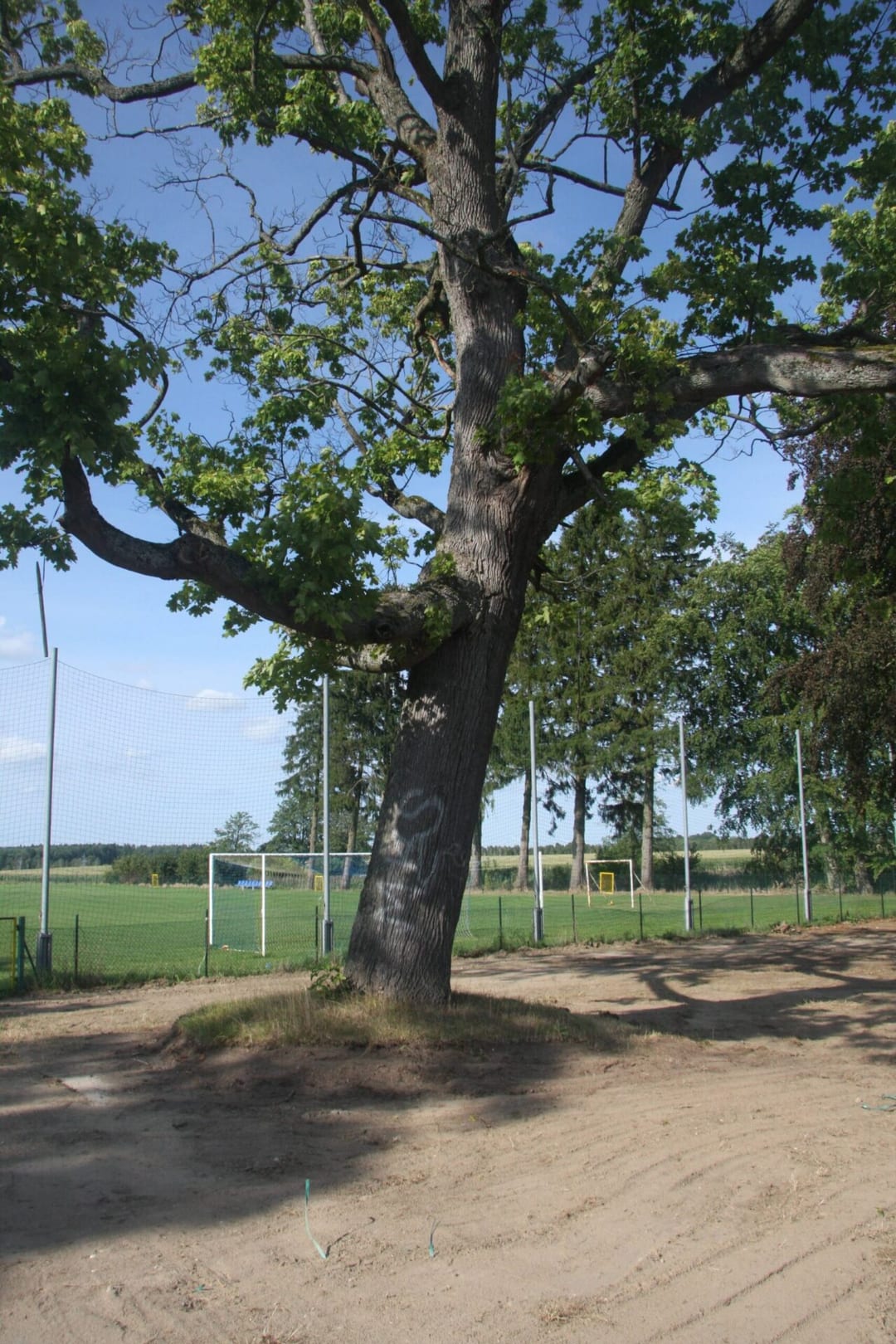 Park dworski w Karścinie