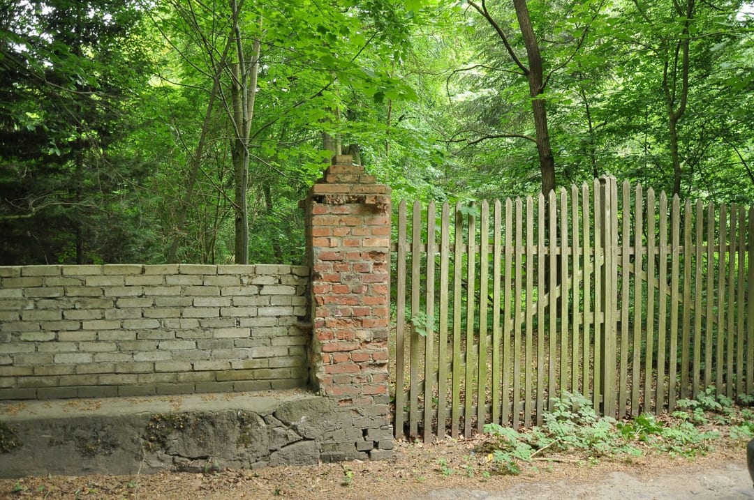 Park dworski w Przybysławiu