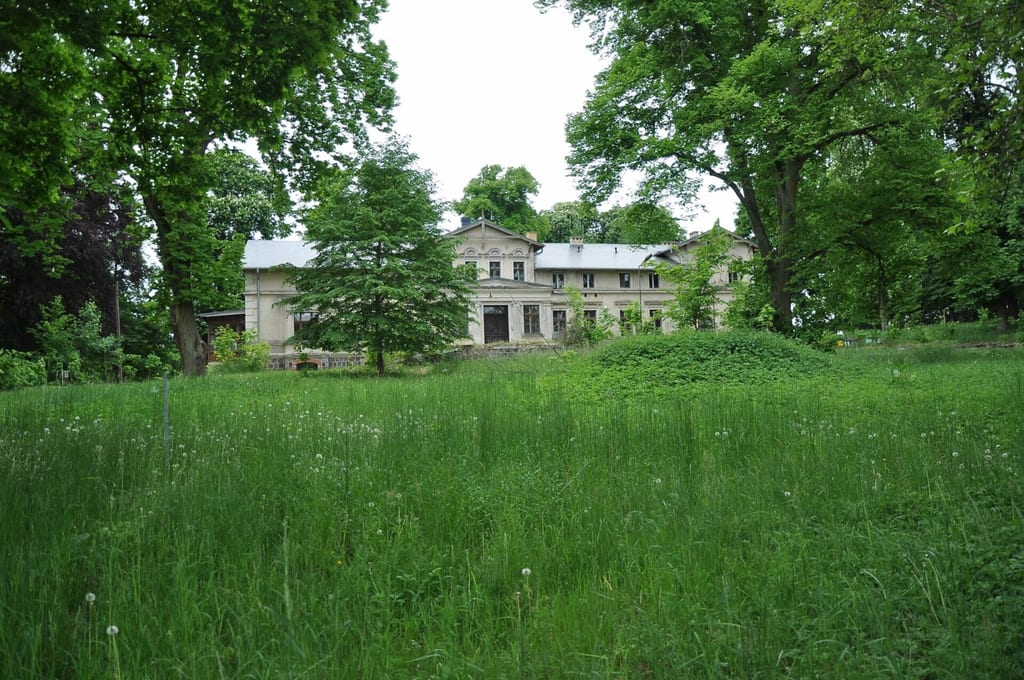 Pałac w Stradzewie