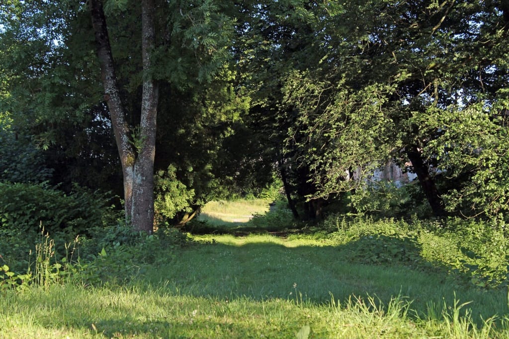 Dwór i park w Słowieńsku