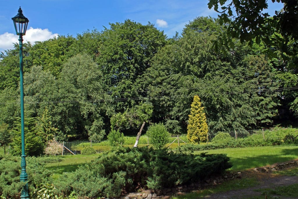 Park dworski w Rzepczynie