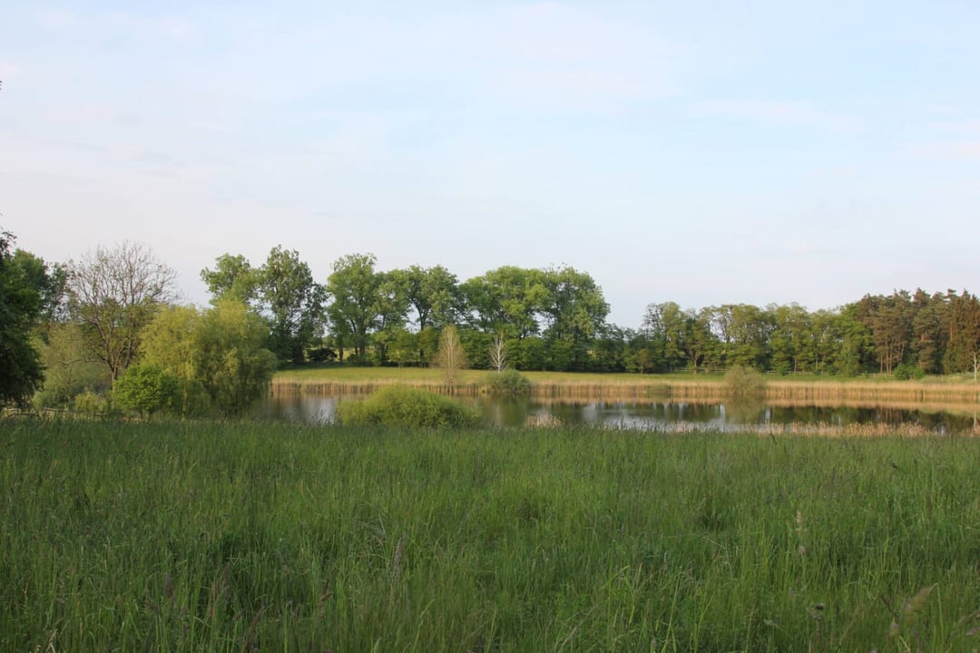 Park dworski w Chełmie Dolnym