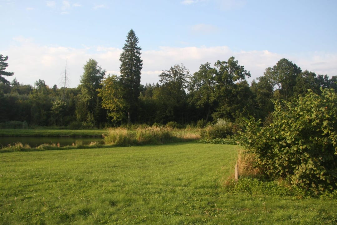 Park dworski w Rarwinie