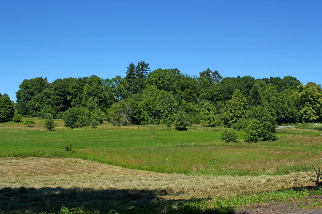 Park dworski w Bełtnie