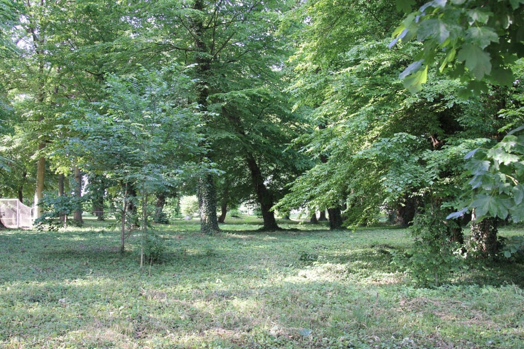 Park dworski w Piasecznie