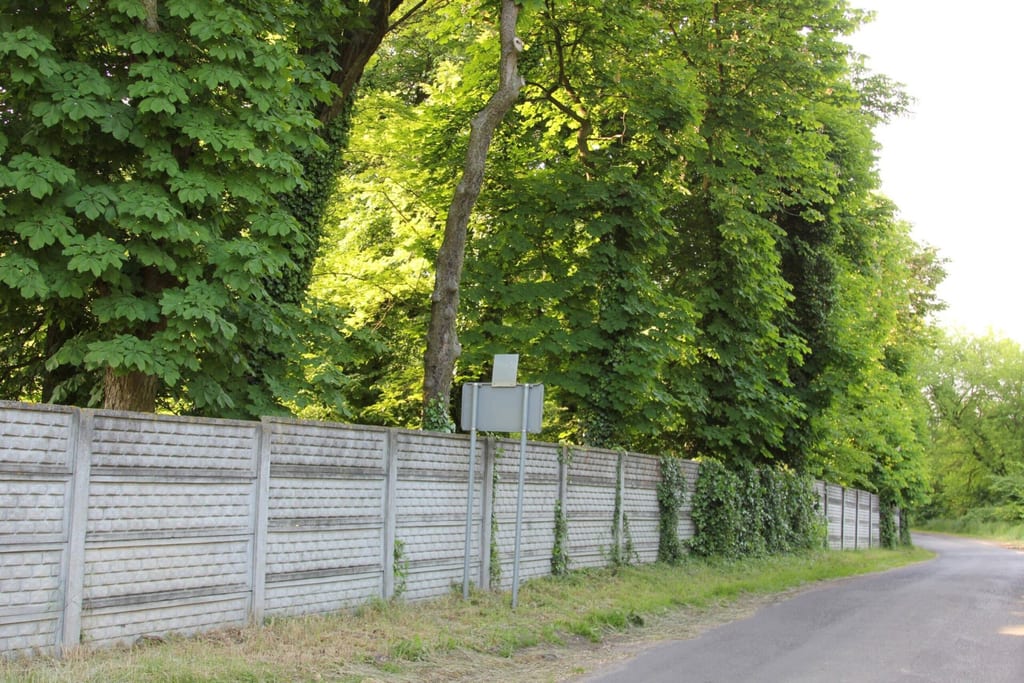 Park dworski w Białęgach