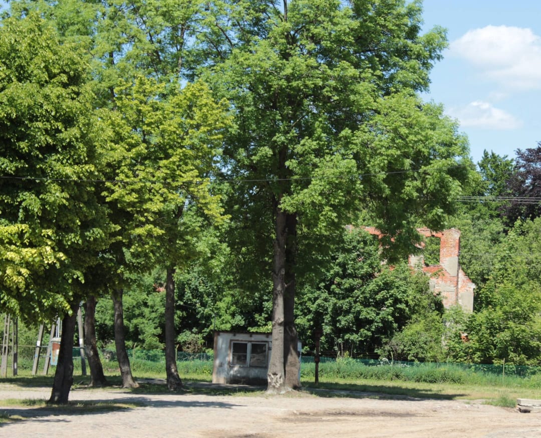 Pałac w Lubogoszczu