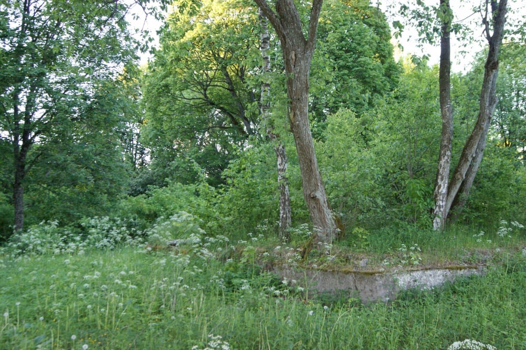 Park dworski w Kazimierzu