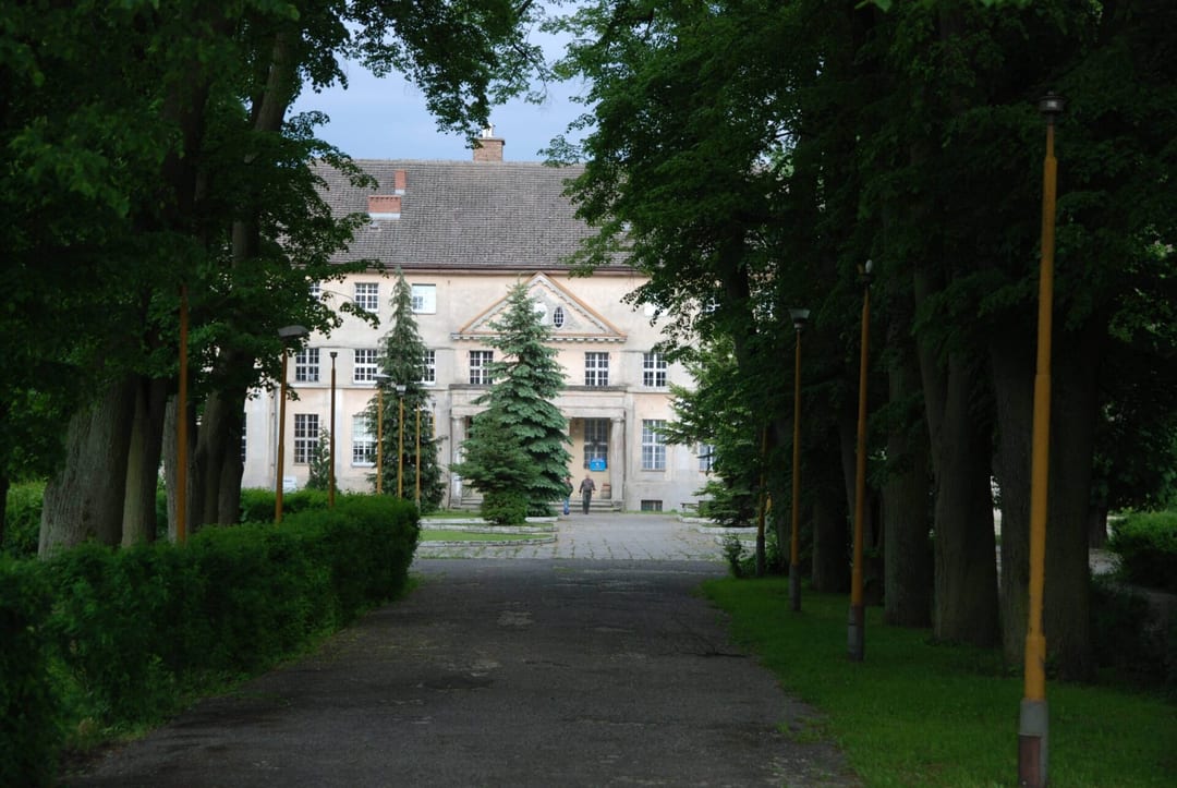 Park dworski w Mostach