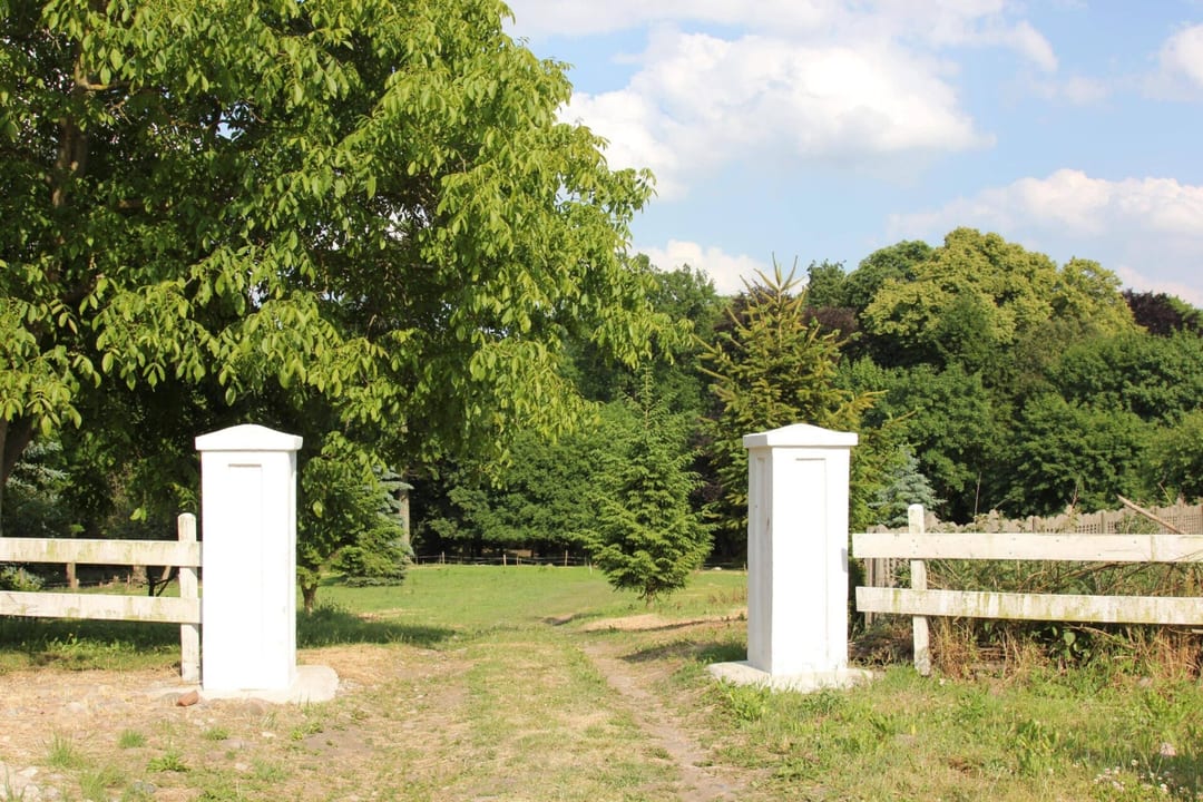Park dworski w Stokach