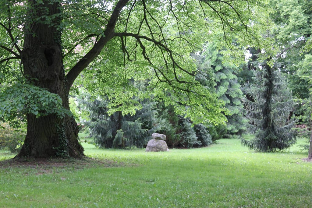 Park dworski w Lubiechowie Górnym