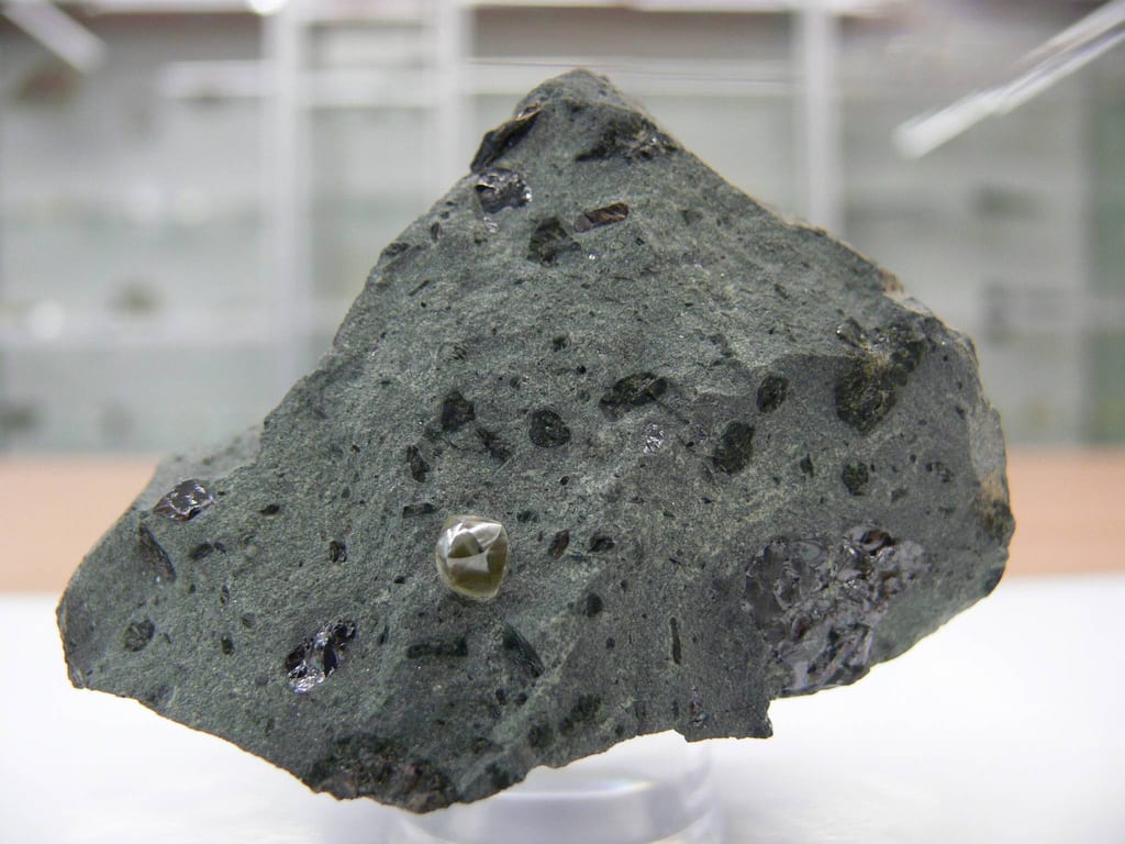 Muzeum Geologiczne Wydziału Nauk o Ziemi Uniwersytetu Szczecińskiego w Szczecinie