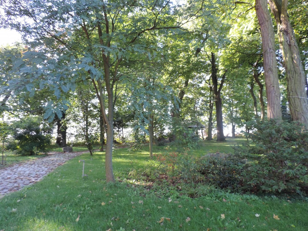 Park dworski w Przylepie