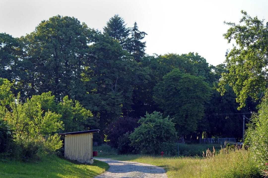 Park dworski w Dołganowie