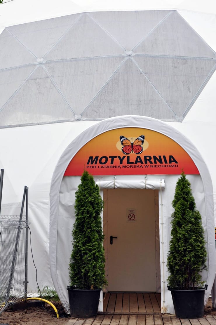 Motylarnia