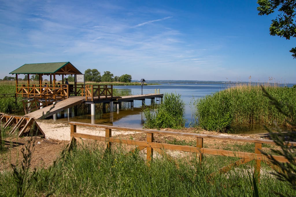 Przylądek Czterech Szkieletów