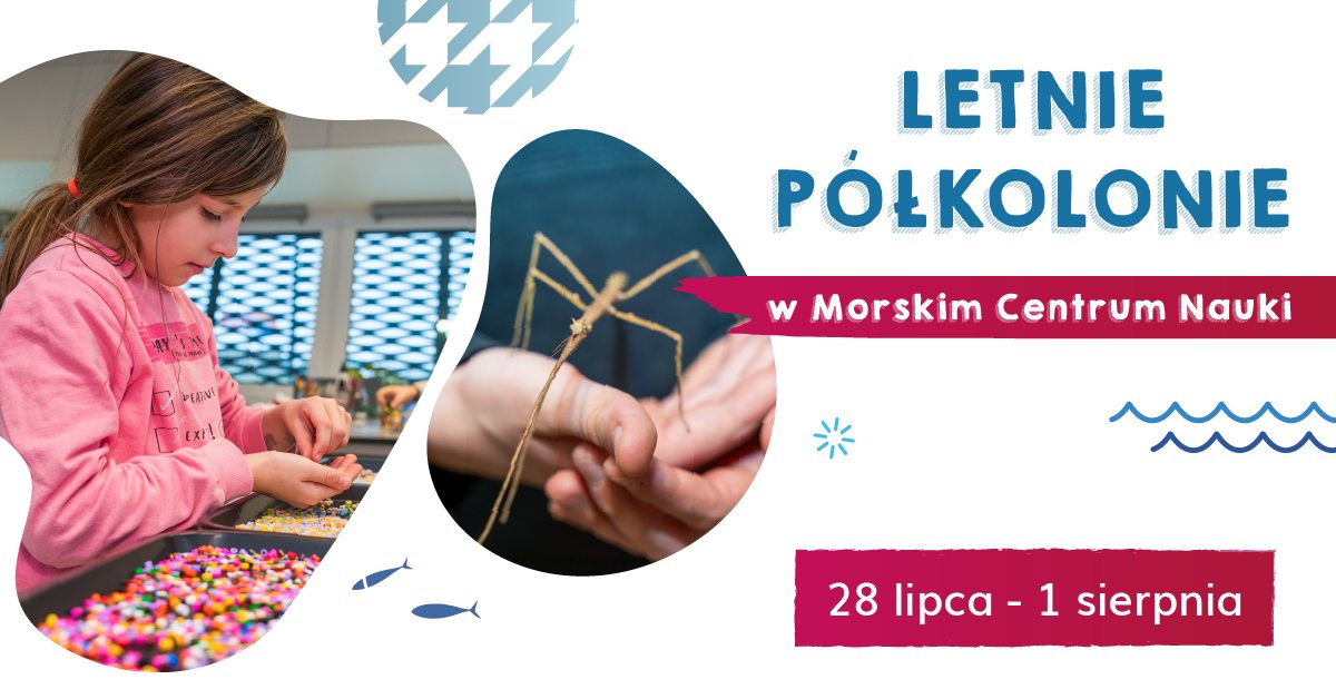 III Turnus Letnich Półkolonii w MCN – Wakacyjna Przygoda z Nauką