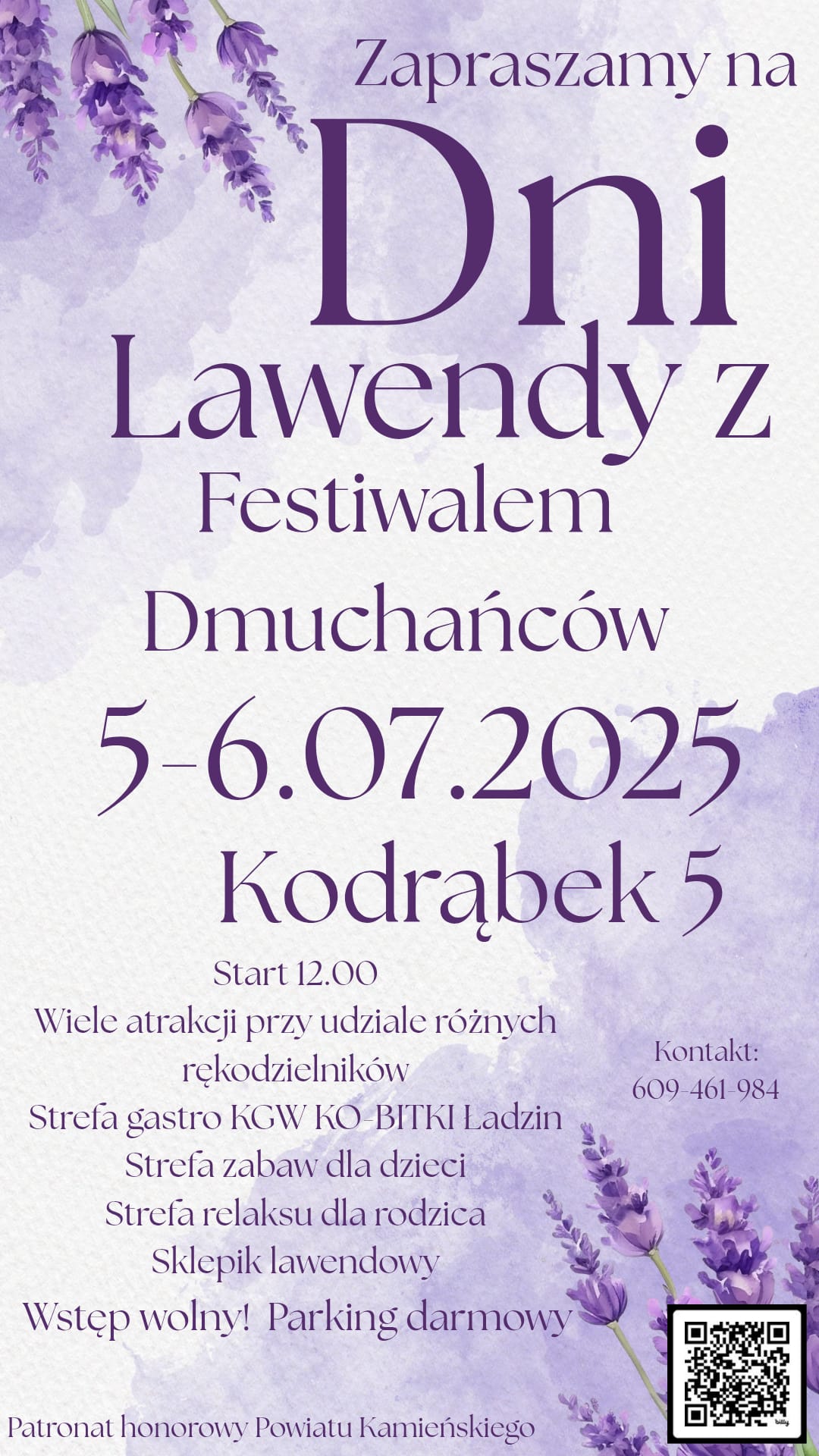 Dni Lawendy Festiwal Dmuchanców w Lawendzie
