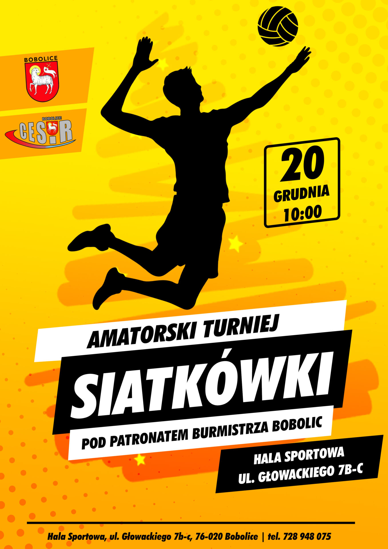 Turniej Piłki Siatkowej pod Patronatem Burmistrza Bobolic.