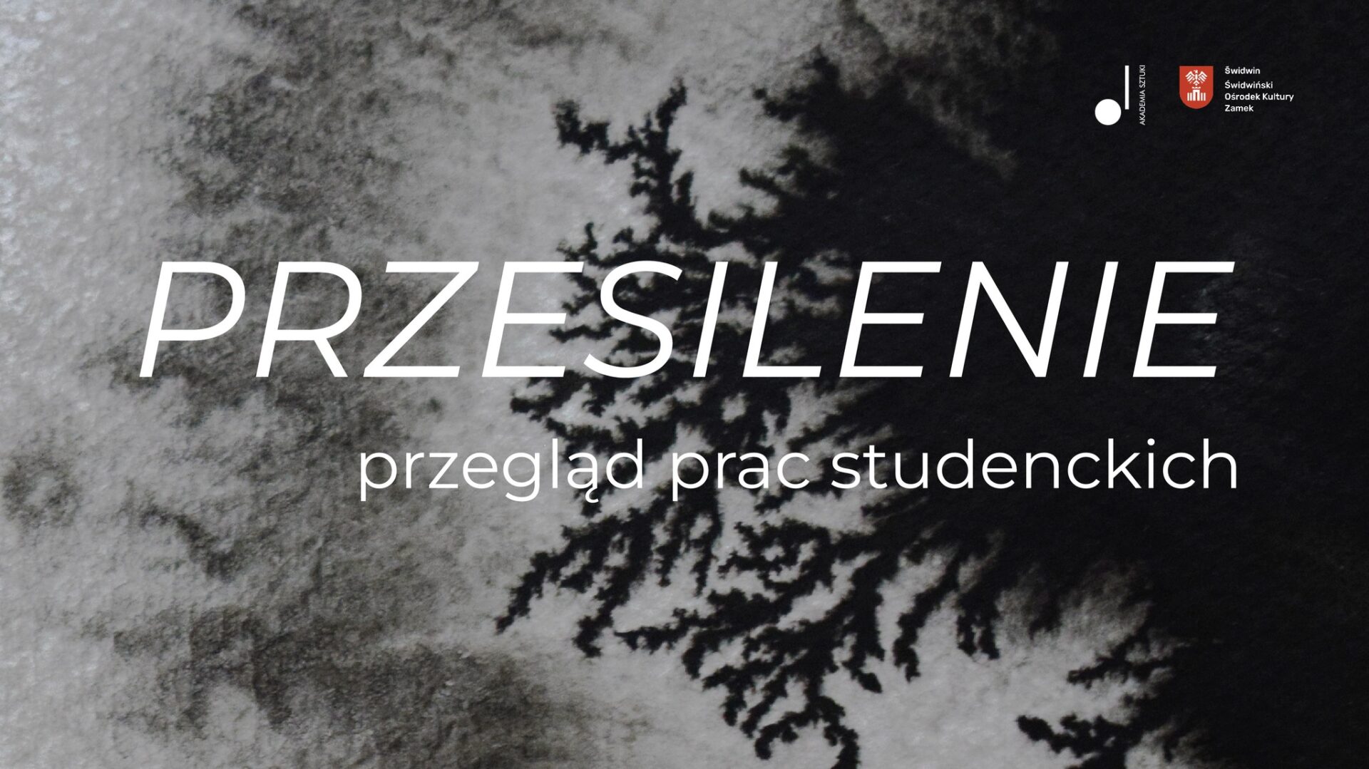 PRZESILENIE – wernisaż i wystawa Akademii Sztuki w Szczecinie