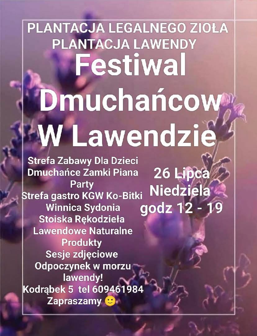 Festiwal Dmuchańcow W Lawendzie