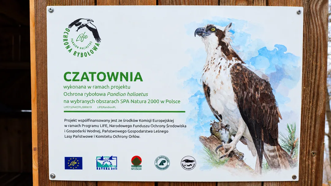 Czatownia ornitologiczna